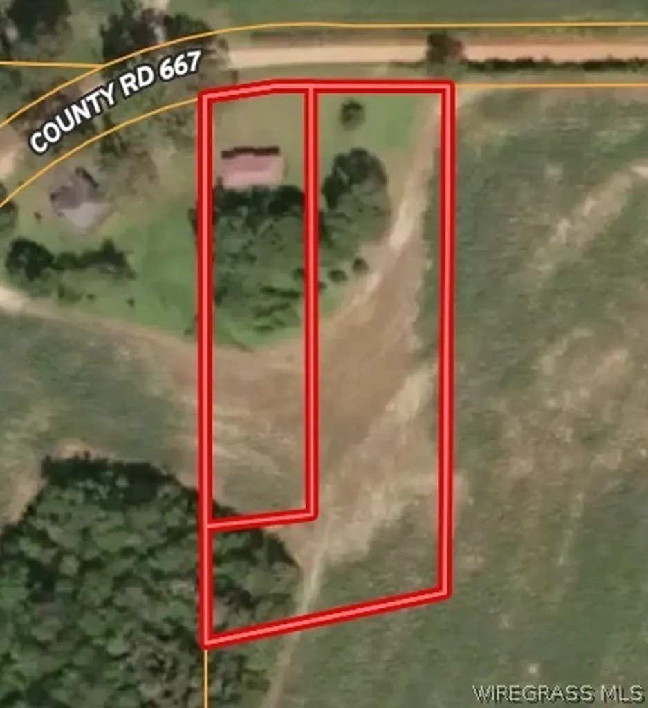 862 County Road 667 Chancellor AL 36318