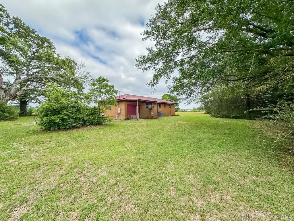 862 County Road 667 Chancellor AL 36318