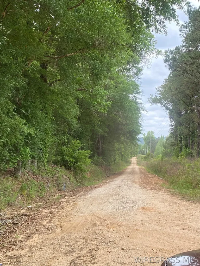 0 Bruno Road Dozier AL 36028
