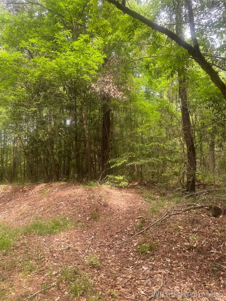 0 Bruno Road Dozier AL 36028