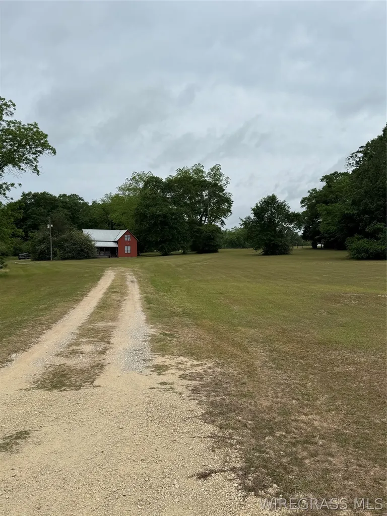 28873 Straughn School Road Andalusia AL 36421