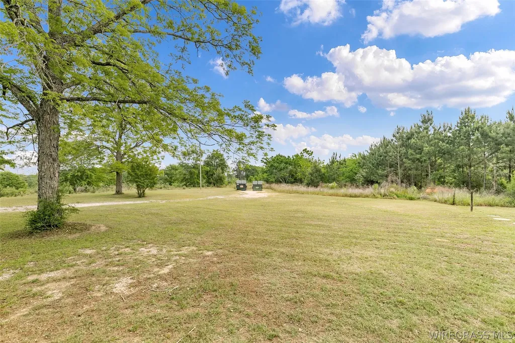 87 County Road 476 Samson AL 36477