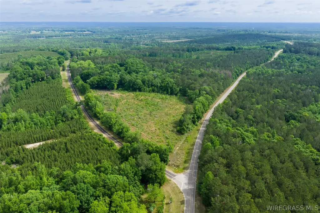 0 County Road 307 Glenwood AL 36034