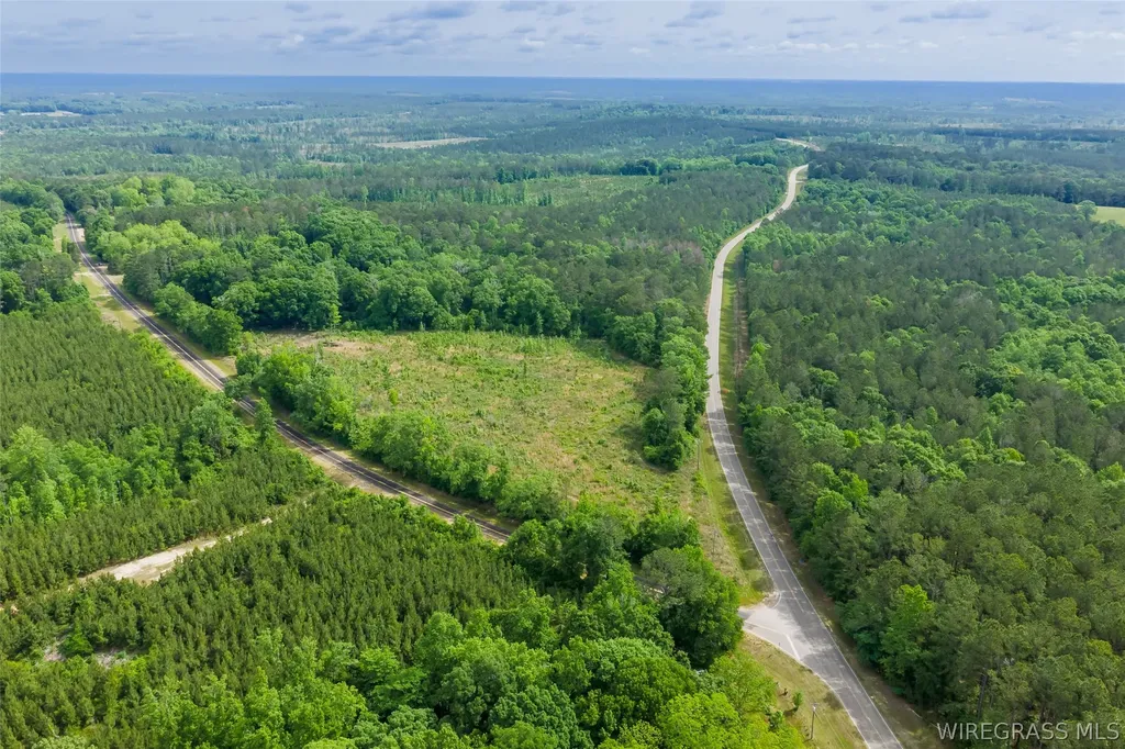 0 County Road 307 Glenwood AL 36034