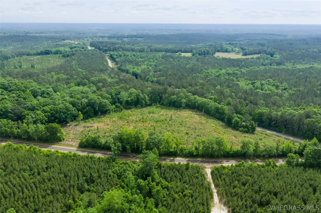 0 County Road 307 Glenwood AL 36034
