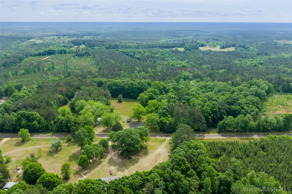 0 County Road 307 Glenwood AL 36034