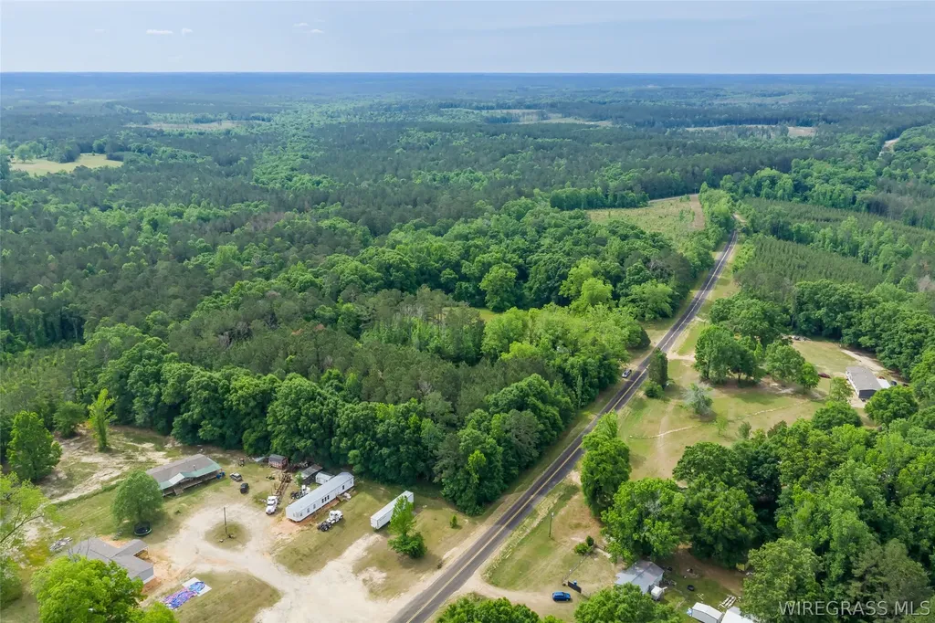 0 County Road 307 Glenwood AL 36034