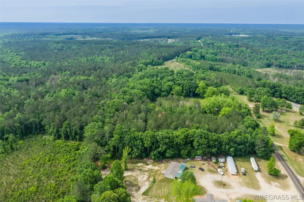 0 County Road 307 Glenwood AL 36034