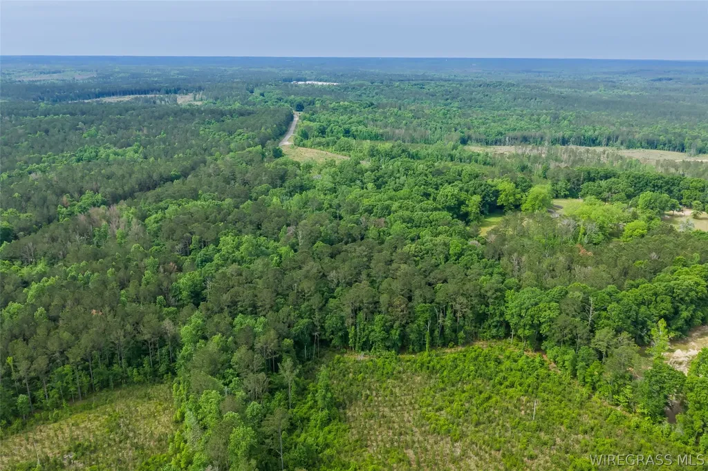 0 County Road 307 Glenwood AL 36034