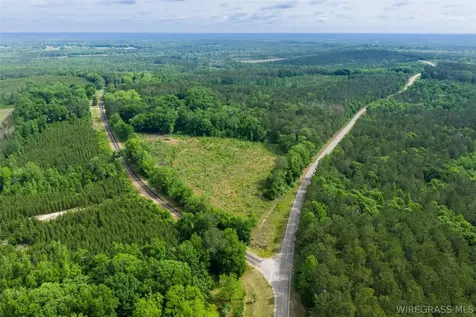 0 County Road 307 Glenwood AL 36034