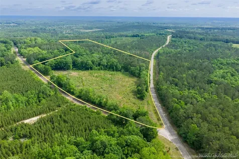 0 County Road 307 Glenwood AL 36034