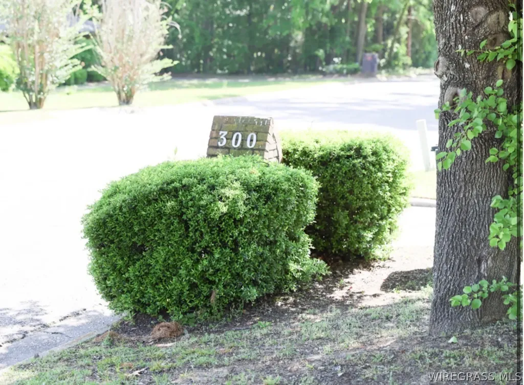 300 S Oakridge Drive Enterprise AL 36330