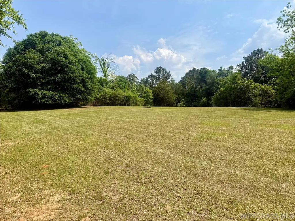 7 County Road 40 Chancellor AL 36316