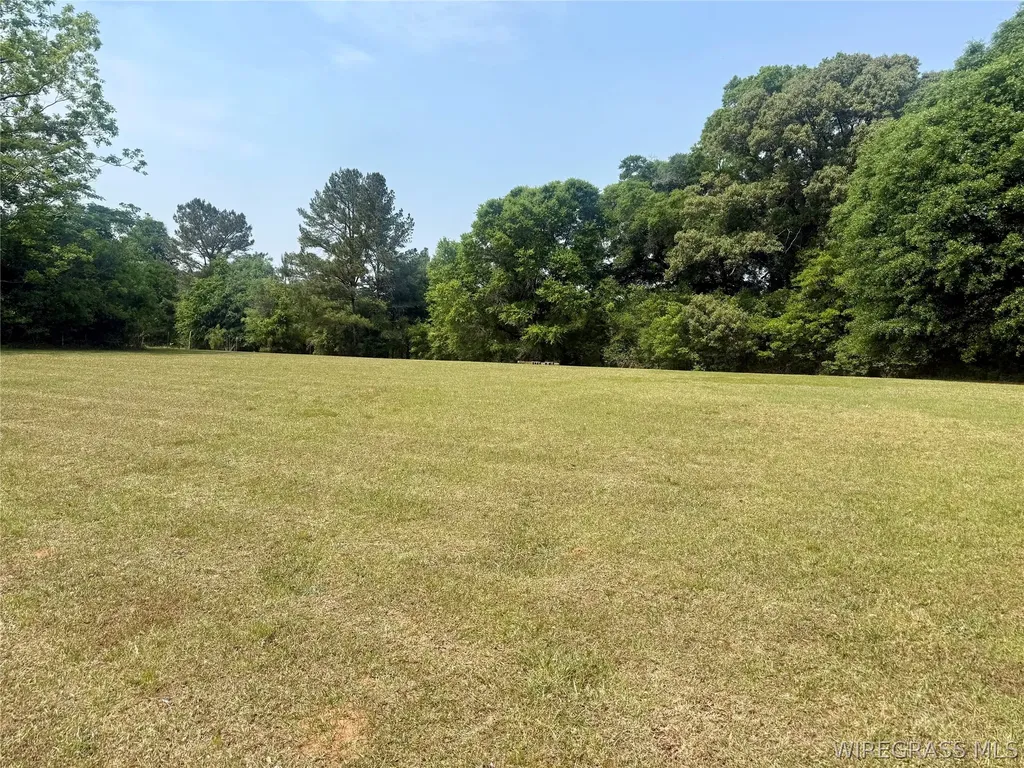 7 County Road 40 Chancellor AL 36316