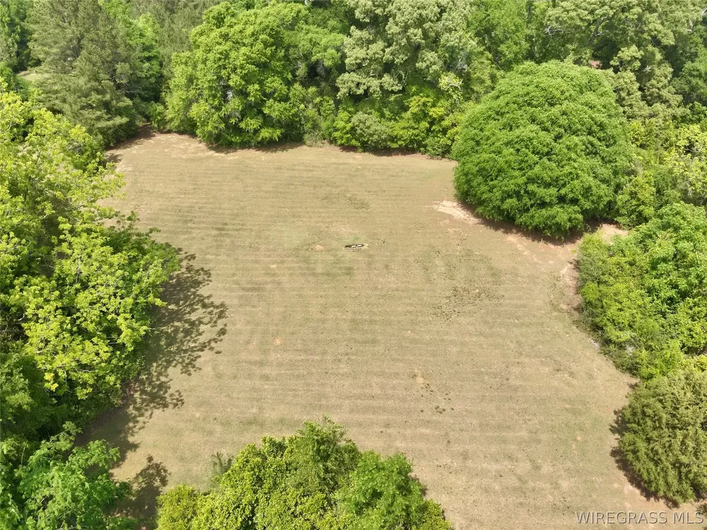7 County Road 40 Chancellor AL 36316