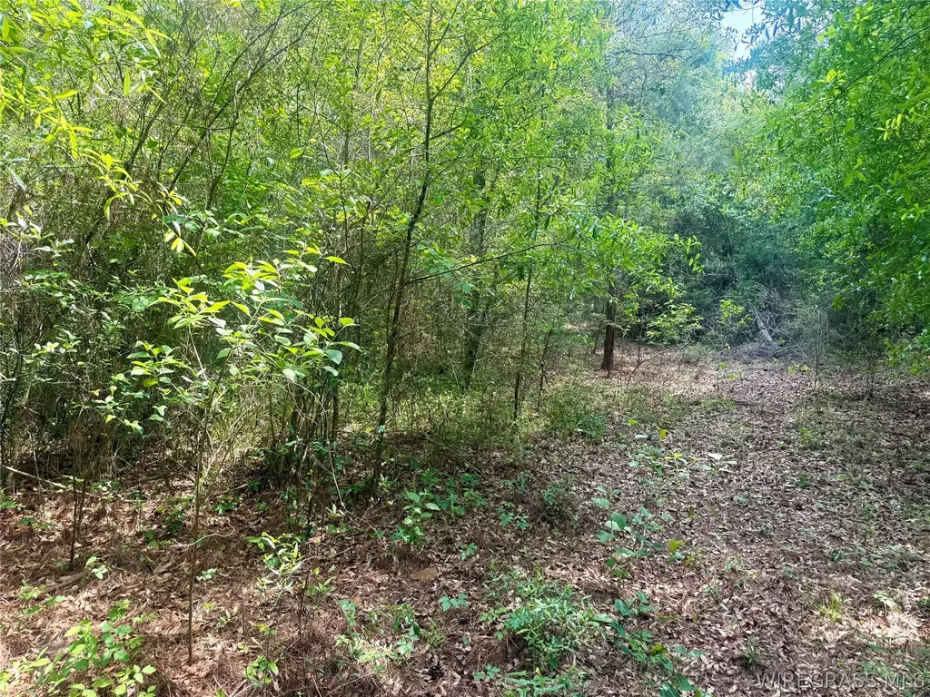 7 County Road 40 Chancellor AL 36316