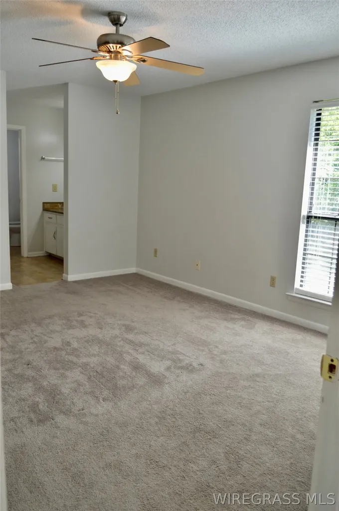 217 Riverview Drive Daleville AL 36362