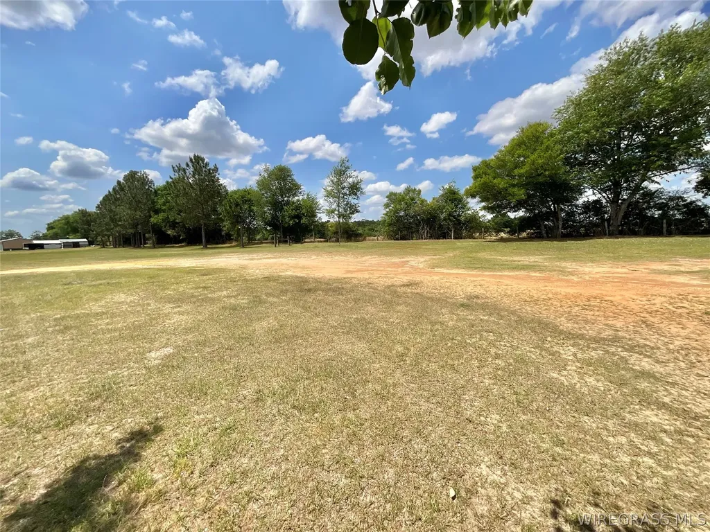 2951 County Road 427 Kinston AL 36453