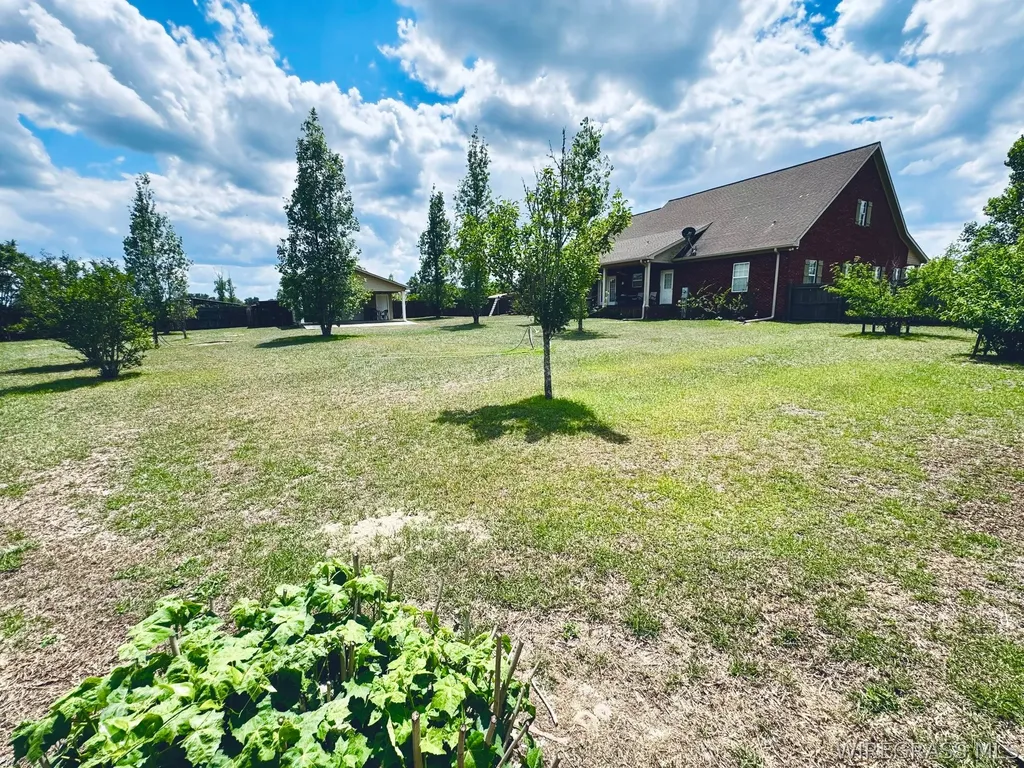 3135 S Highway 87 Samson AL 36477
