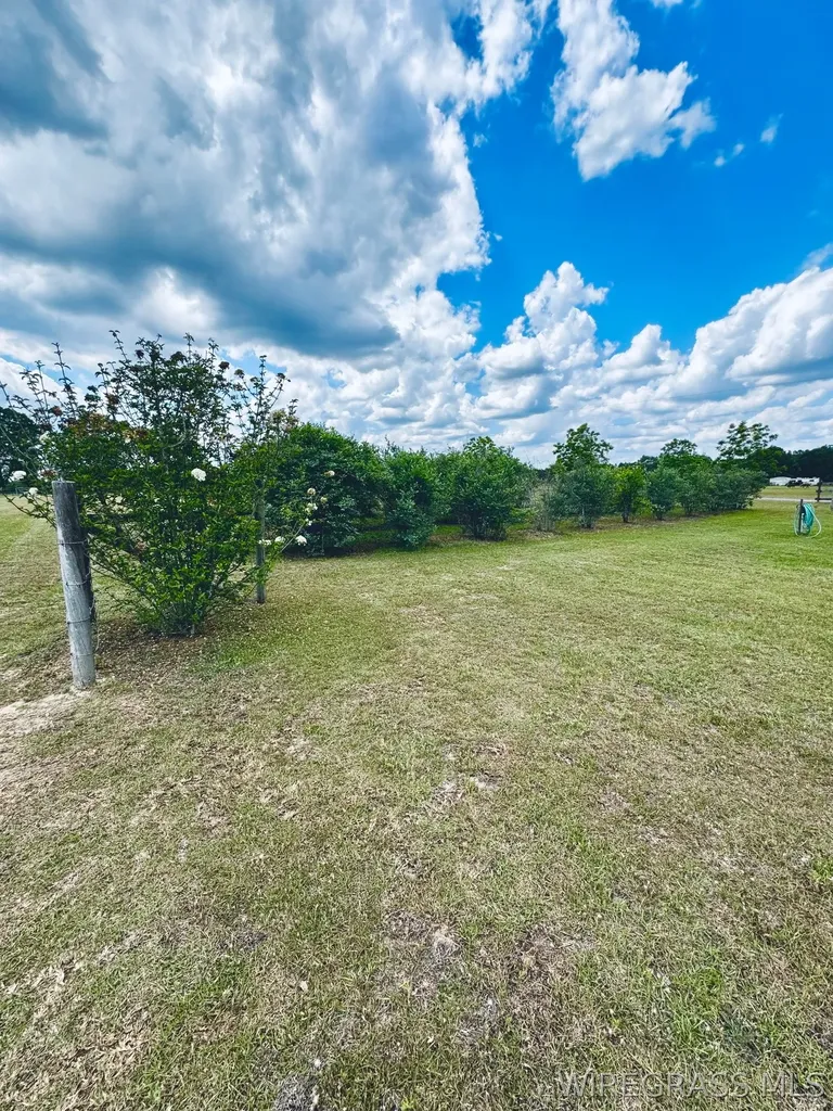 3135 S Highway 87 Samson AL 36477