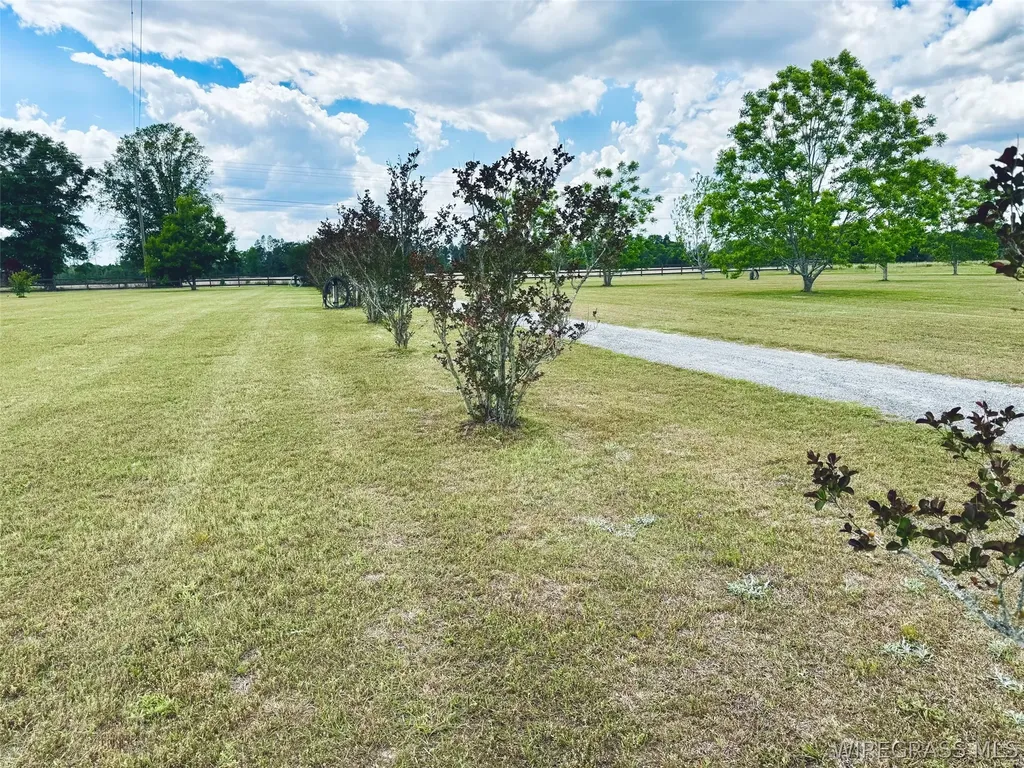 3135 S Highway 87 Samson AL 36477