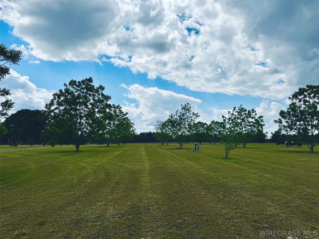 3135 S Highway 87 Samson AL 36477