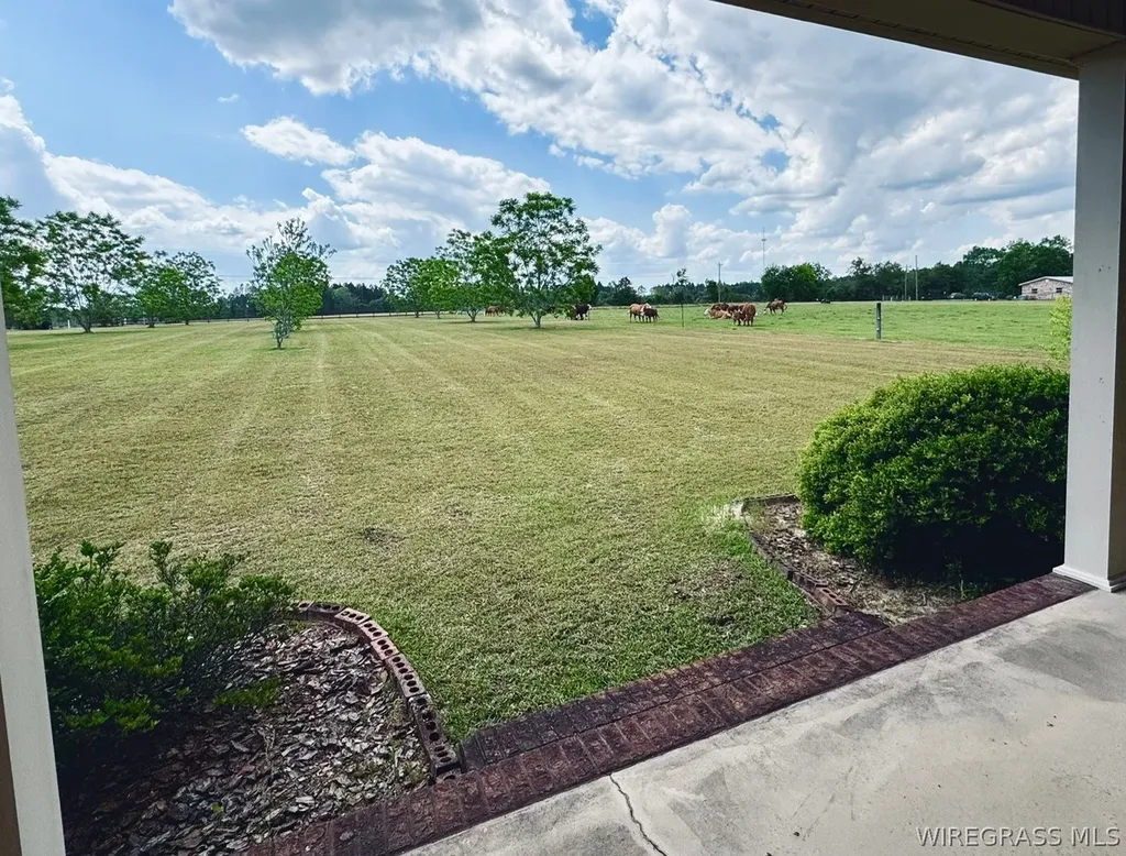 3135 S Highway 87 Samson AL 36477