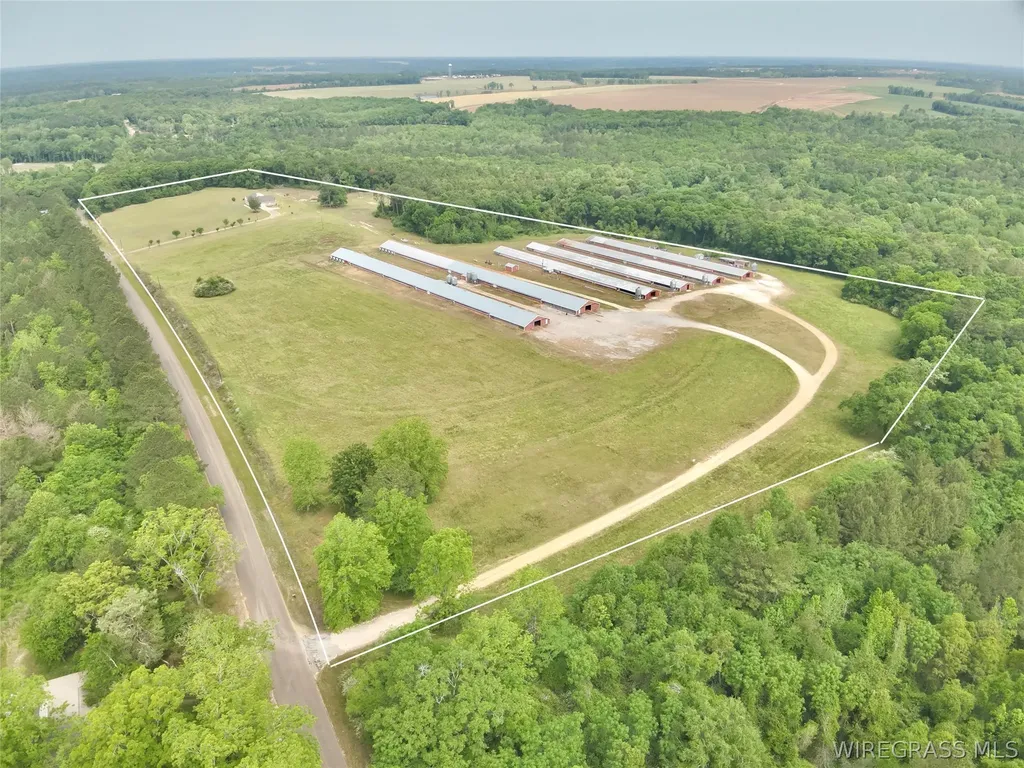 2065 County Road 6 Road Black AL 36314