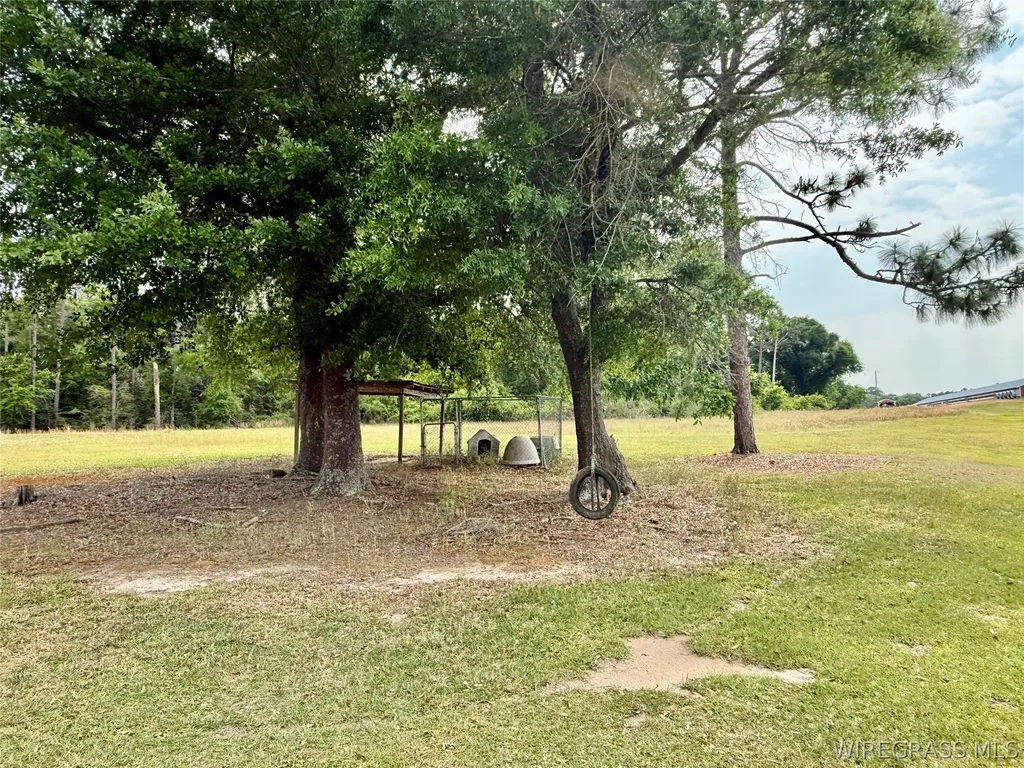 2065 County Road 6 Road Black AL 36314