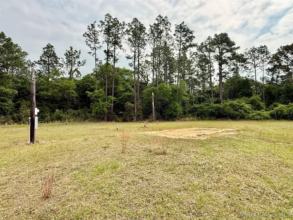 2065 County Road 6 Road Black AL 36314
