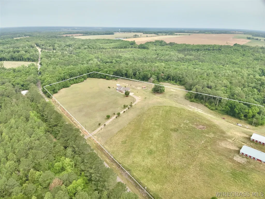 2065 County Road 6 Road Black AL 36314