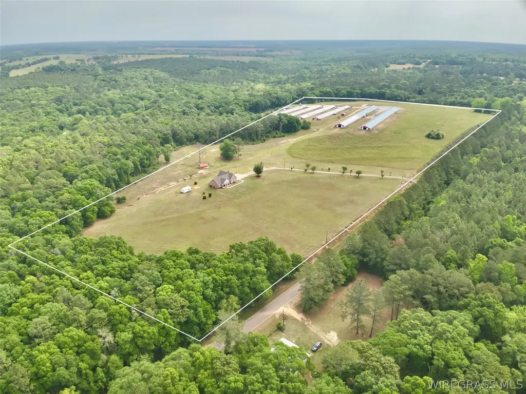 2065 County Road 6 Road Black AL 36314