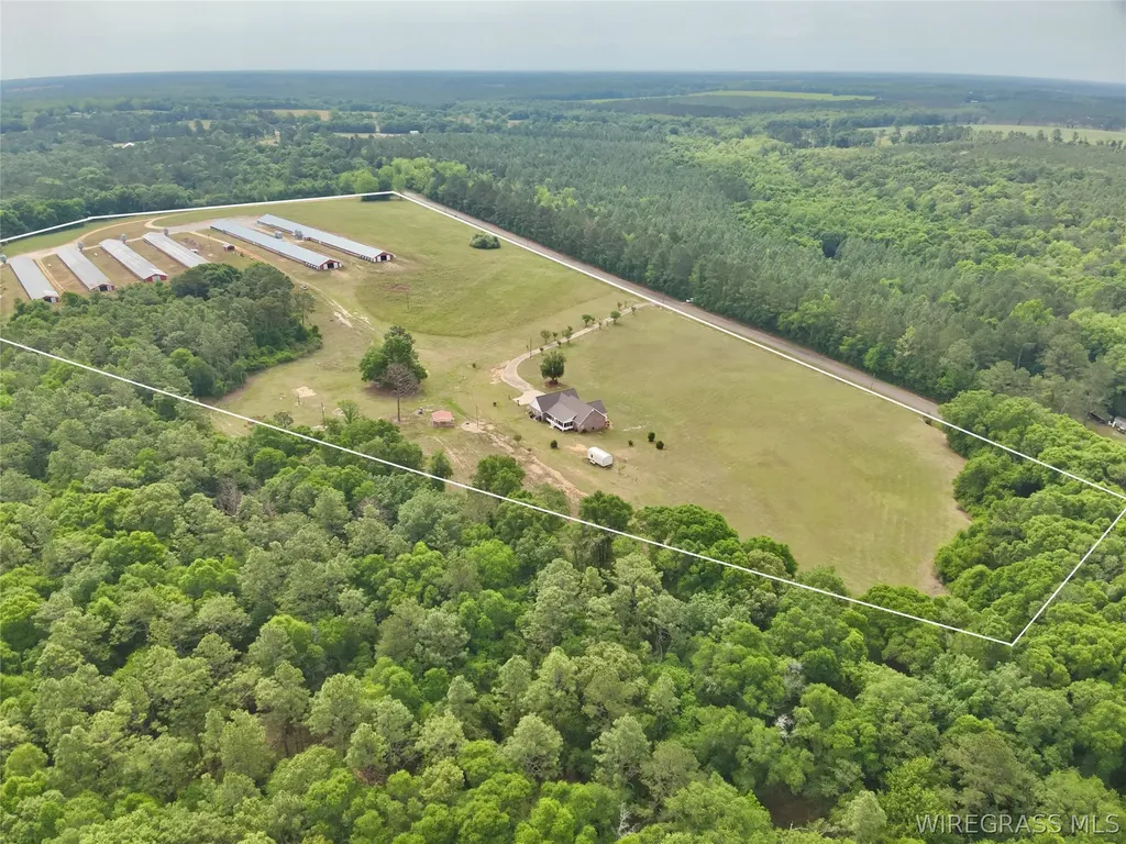2065 County Road 6 Road Black AL 36314