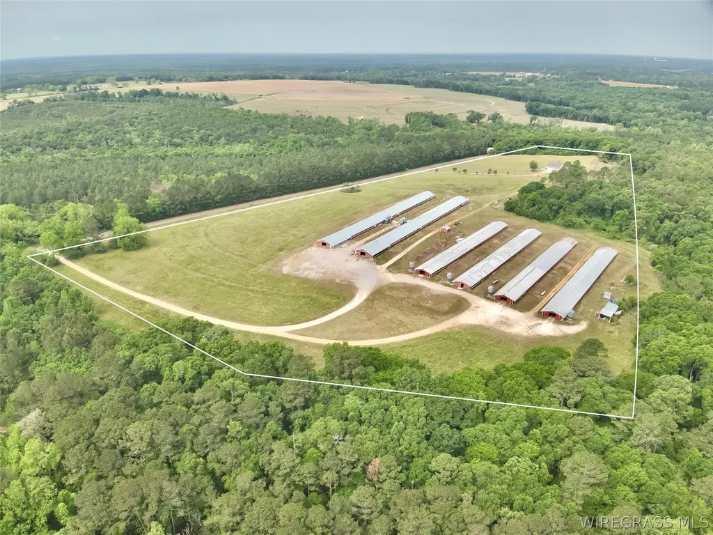 2065 County Road 6 Road Black AL 36314