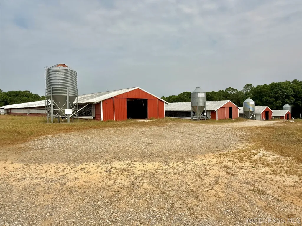 2065 County Road 6 Road Black AL 36314