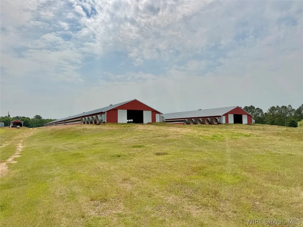2065 County Road 6 Road Black AL 36314