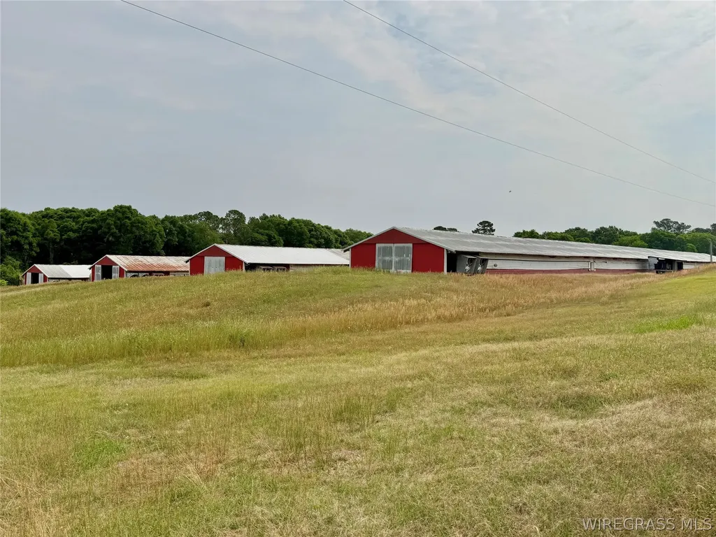 2065 County Road 6 Road Black AL 36314