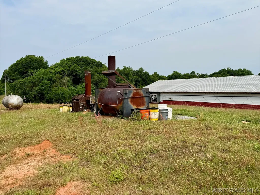 2065 County Road 6 Road Black AL 36314