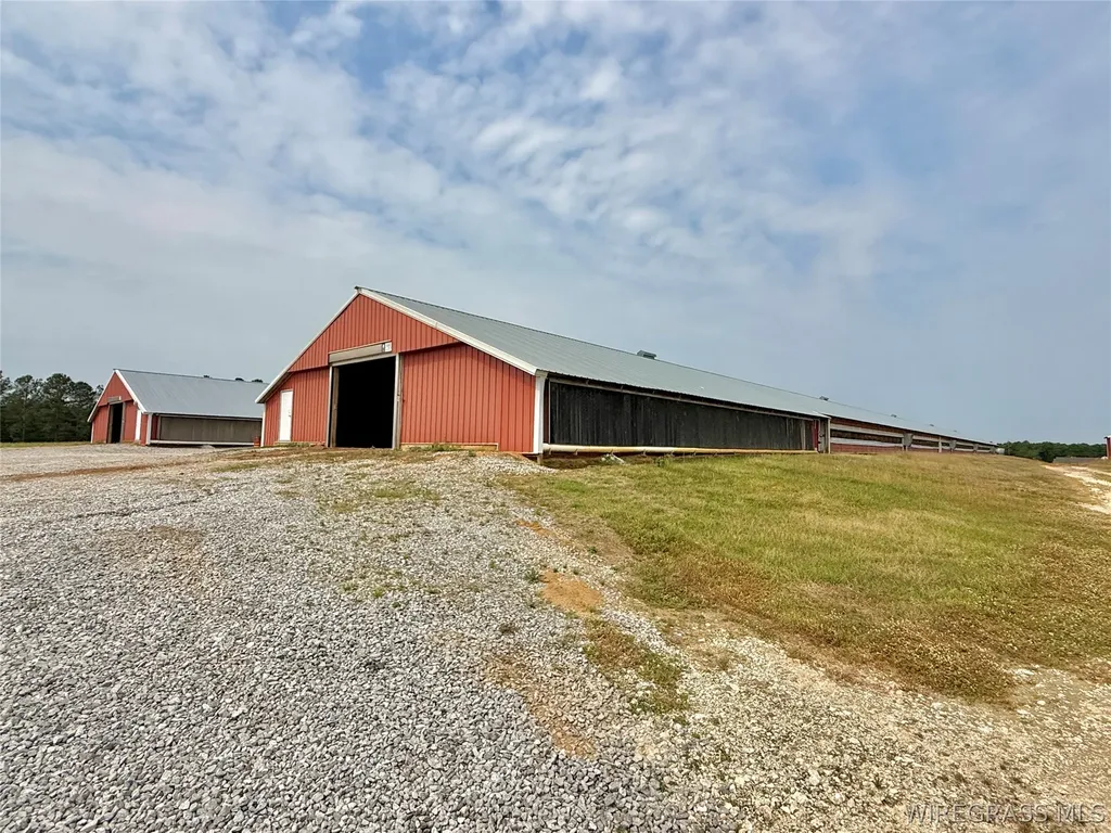 2065 County Road 6 Road Black AL 36314