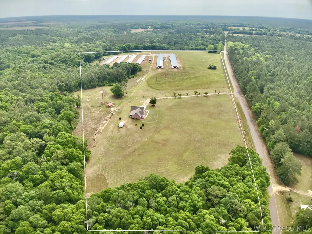 2065 County Road 6 Road Black AL 36314