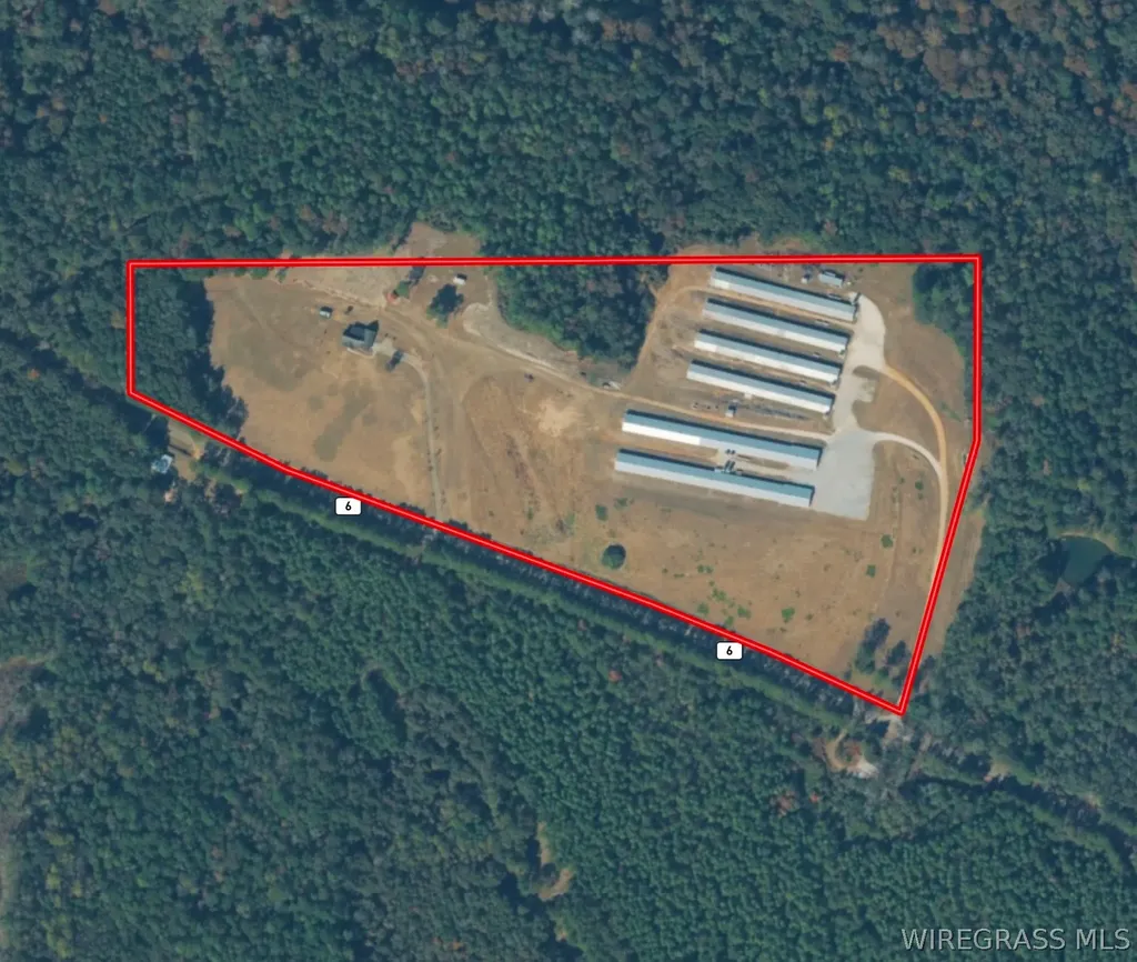 2065 County Road 6 Road Black AL 36314