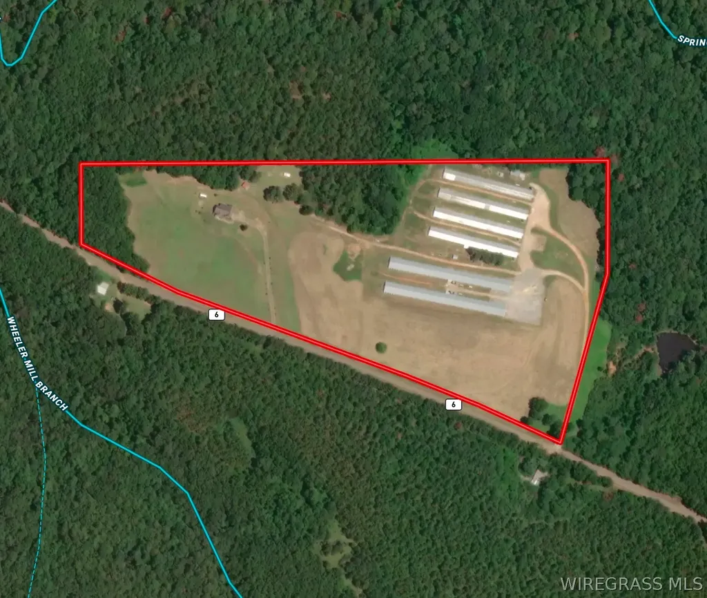 2065 County Road 6 Road Black AL 36314