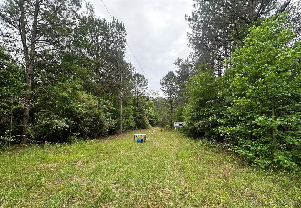 0 Highway 105 Highway Skipperville AL 36360