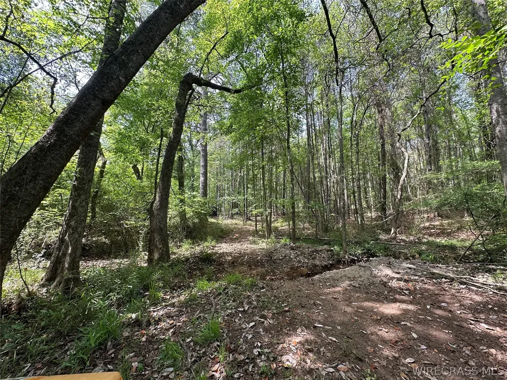 0 Highway 105 Highway Skipperville AL 36360