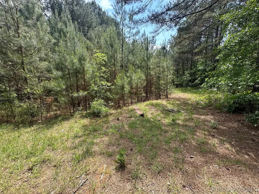 0 Highway 105 Highway Skipperville AL 36360