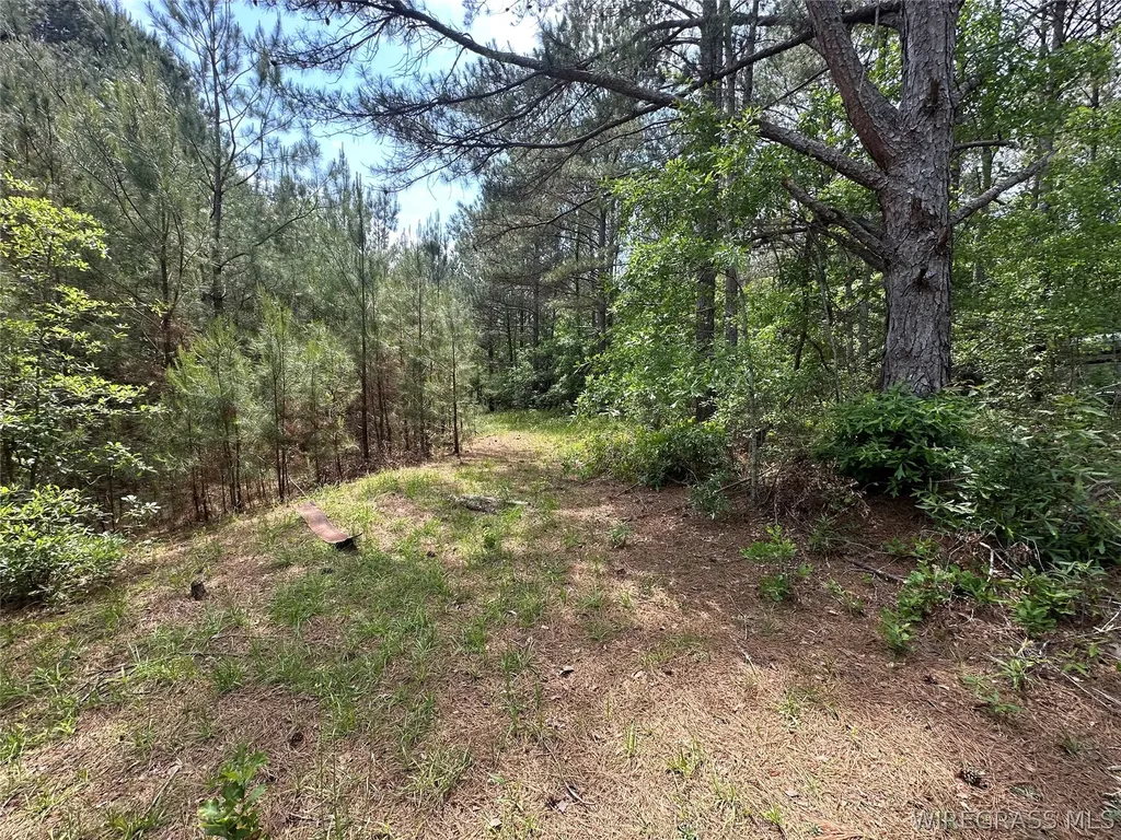0 Highway 105 Highway Skipperville AL 36360
