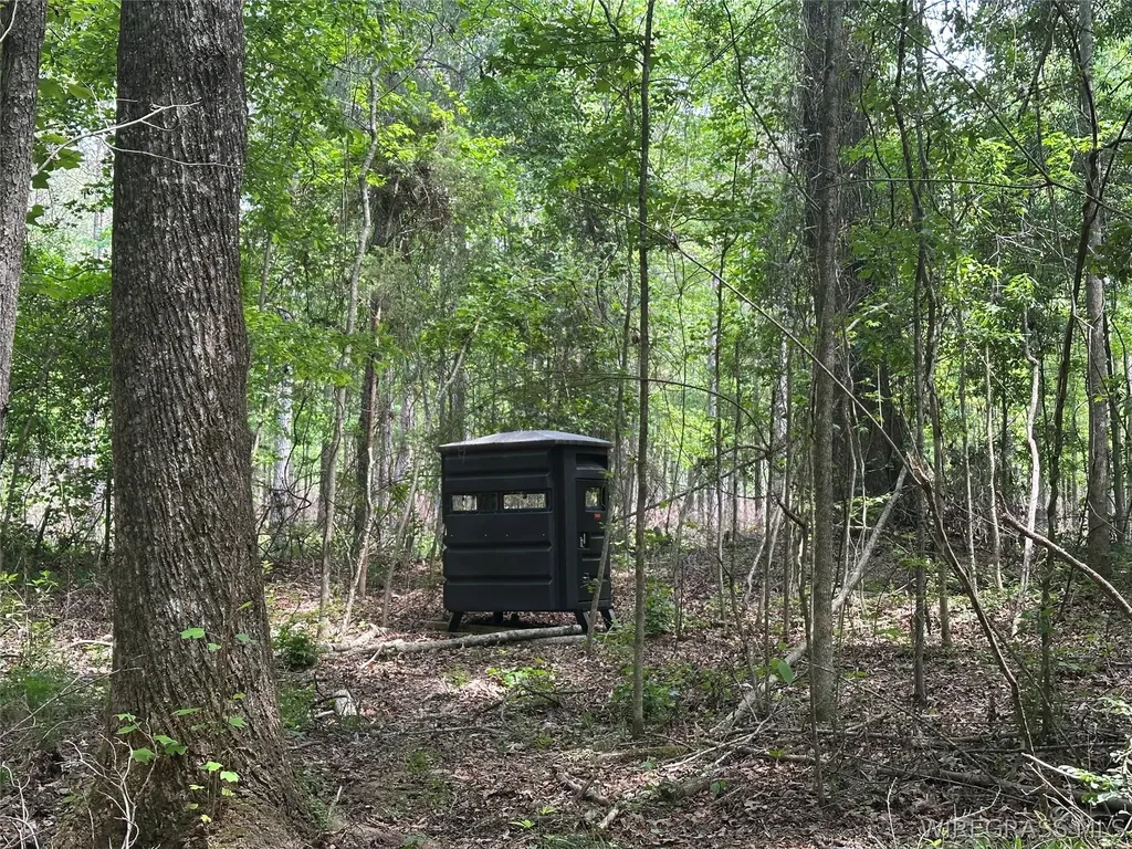 0 Highway 105 Highway Skipperville AL 36360
