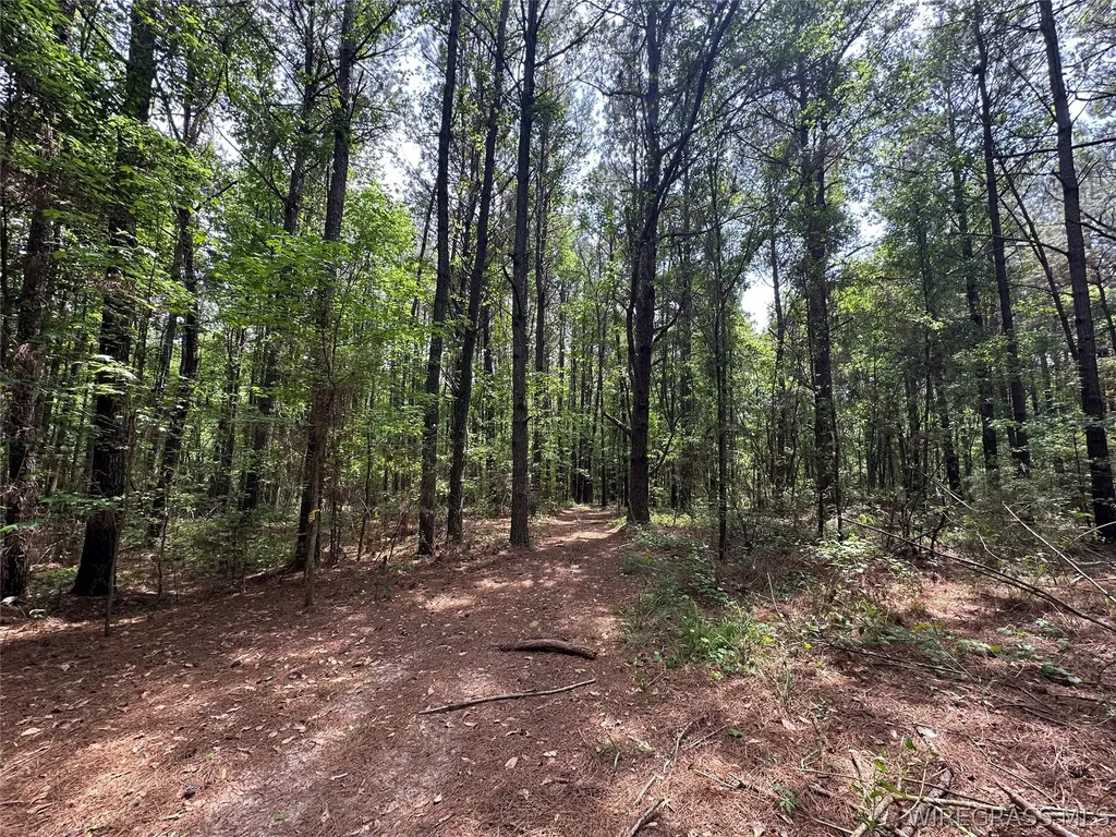 0 Highway 105 Highway Skipperville AL 36360