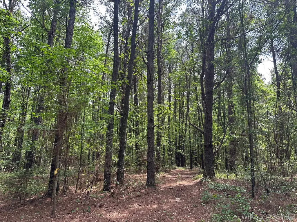 0 Highway 105 Highway Skipperville AL 36360