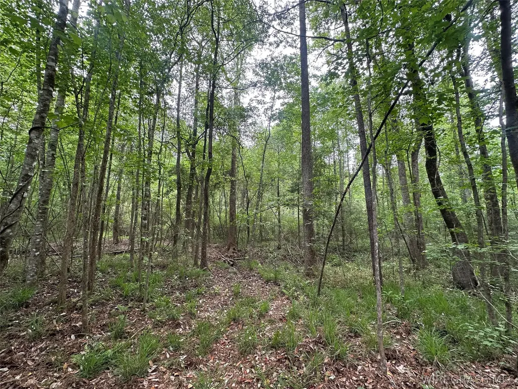 0 Highway 105 Highway Skipperville AL 36360